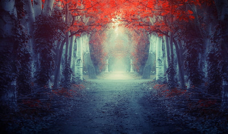 Entrance, red, autumn, bonito, trees, mist, leaves, dark, magical, road, blue, HD wallpaper