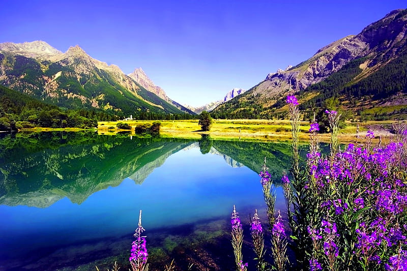 LAKE in SPRING, mountain, flowers, spring, lake, HD wallpaper | Peakpx