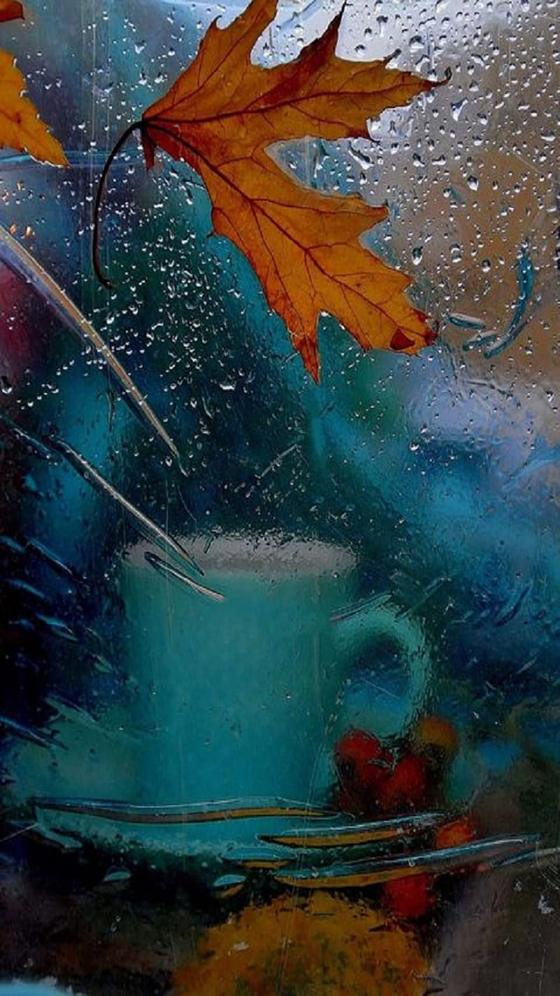 Autumn, cup, leaf, rain, HD phone wallpaper