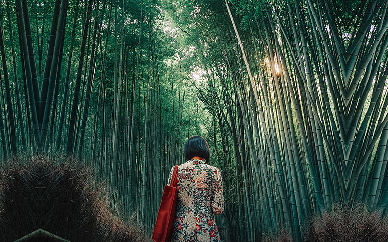 forest, bamboo, wood, girl, art, HD wallpaper