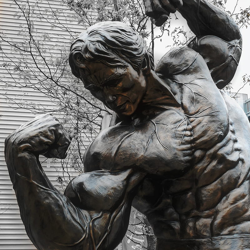Arnold Statue, arnold schwarzenegger, columbus, man, muscle, ohio, strong, strong man, terminator, HD phone wallpaper