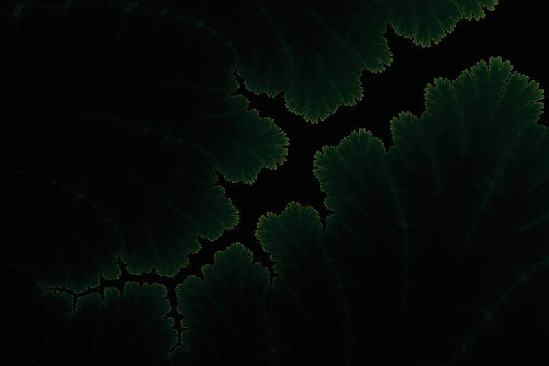 Green Plants Dark Amoled, dark, green, artist, oled, behance, HD wallpaper