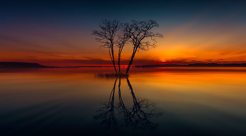 Horizon Lake Nature Reflection Sunset Tree, lake, reflection, sunset, tree, nature, horizon, HD wallpaper