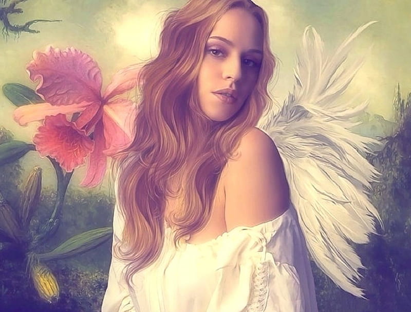 Angels Love Eternal Models Love Four Seasons Creative Pre Made Digital Art Hd Wallpaper