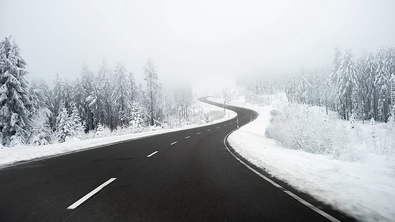 Road Between Snow Covered Forest Winter, HD wallpaper