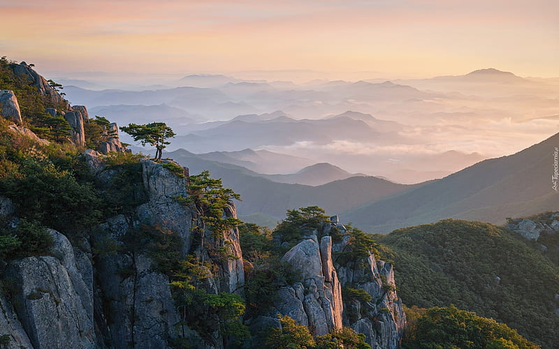 Núi và thiên nhiên Hàn Quốc sẽ để bạn trải nghiệm những khoảnh khắc không thể quên. Hãy cùng chiêm ngưỡng những cảnh đẹp tuyệt vời này và tìm hiểu sự đa dạng của văn hóa Hàn Quốc.