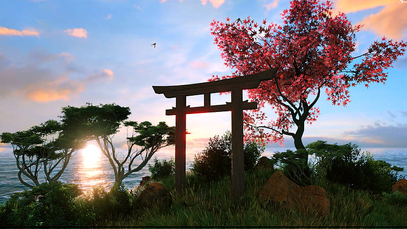 Torii Tree In Front Of Sea Under Blue Sky With Sun Rays Nature, HD wallpaper