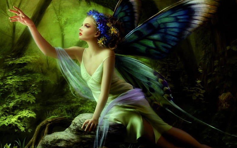 Forest Fairy, forest, fantasy, wings, fairy, HD wallpaper | Peakpx