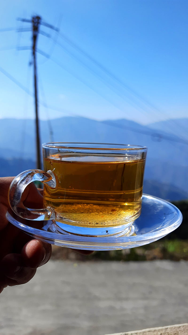 Darjeeling Tea, coffee, darjeeling, happy valley, hill, hills, mountain, tea, HD phone wallpaper