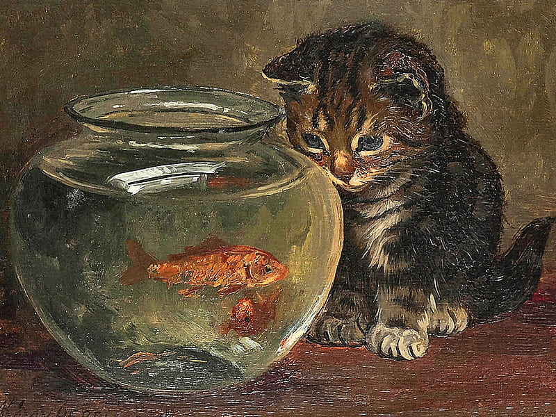 Kitten and Fish Bowl F, art, fish, bonito, pets, artwork, animal, feline, painting, wide screen, kitten, cats, bowl, HD wallpaper