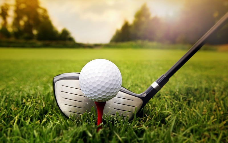 Golf Tournament 2019 Grassland Closeup, HD wallpaper