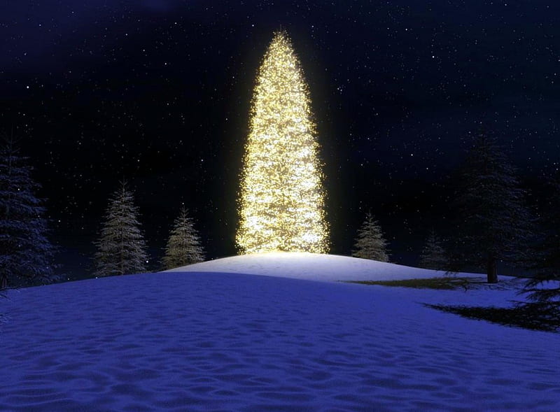 Christmas on the hill, Christmas, tree, snow, hill, lights, night, HD wallpaper