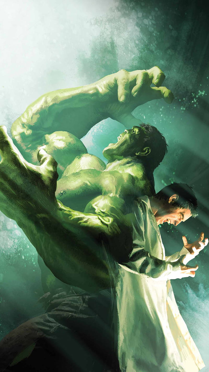 The Hulk, banner, bruce, hulk, mavel, shield, stark, tony, HD phone  wallpaper | Peakpx