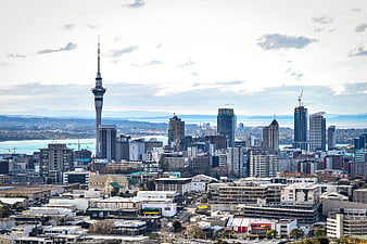 Auckland city, android, auckland, central, city, new zealand, park,  skytower, HD wallpaper | Peakpx