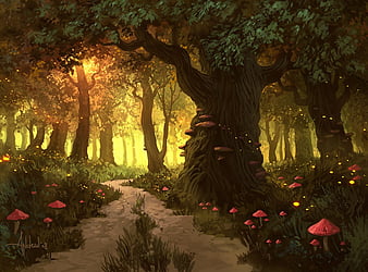 Khu rừng kỳ ảo với những cây cổ thụ và những vật dụng kỳ diệu sẽ khiến cho bạn như lạc vào một thế giới đầy mê hoặc và kì bí. Hãy cùng khám phá bức ảnh kỳ diệu này.