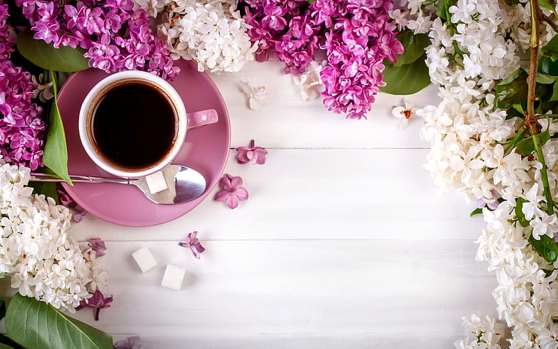 card, lilac, coffee, flower, cup, spring, white, pink, HD wallpaper