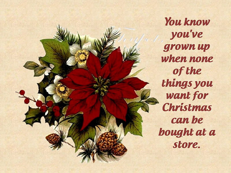 Christmas quote, holiday, christmas, poinsettia, quote, HD wallpaper