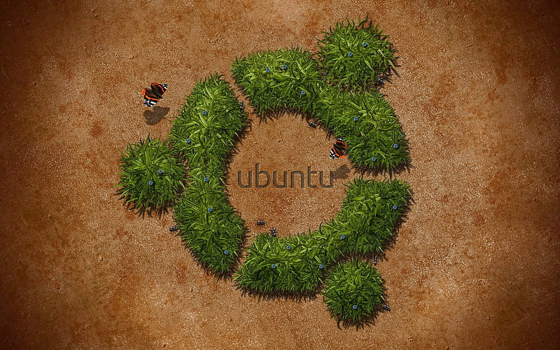 Ubuntu, grass, 3d logo, Ubuntu logo, creative, Linux, HD wallpaper