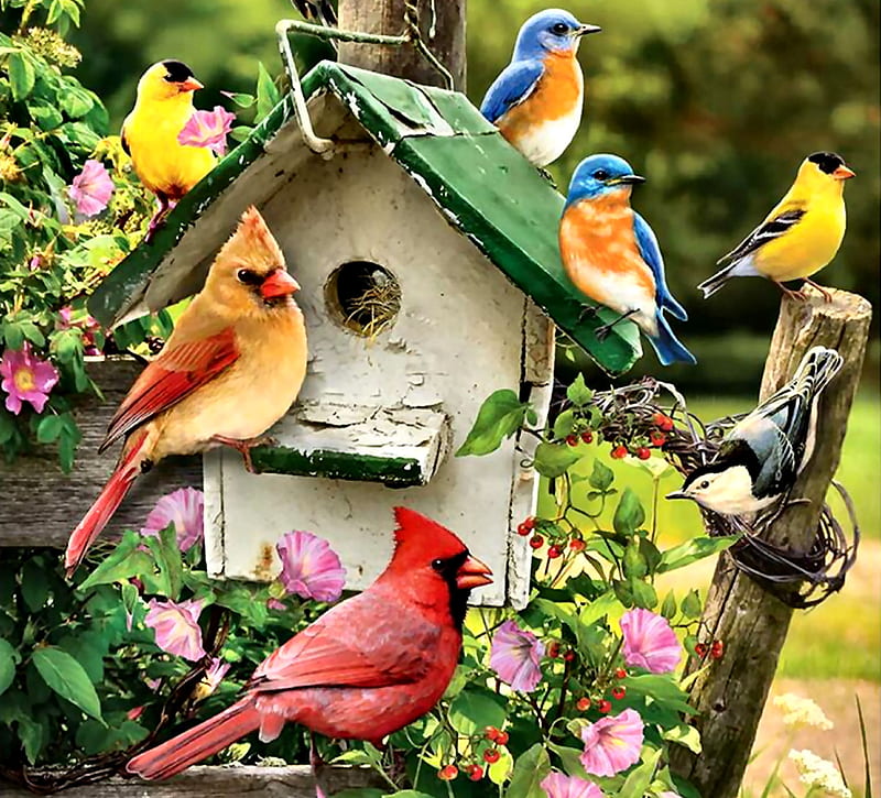 Summer Birds FC, art, bluebirds, bonito, illustration, artwork, animal, goldfinches, cardinals, nuthatch, bird, avian, painting, birdhouse, wide screen, wildlife, flowers, HD wallpaper