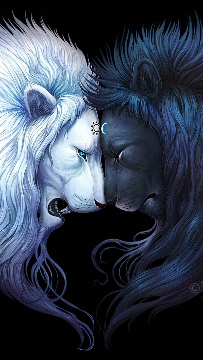 Ying Yang Lions, black, blue, dark lion, lions, white, ying yang, HD phone wallpaper