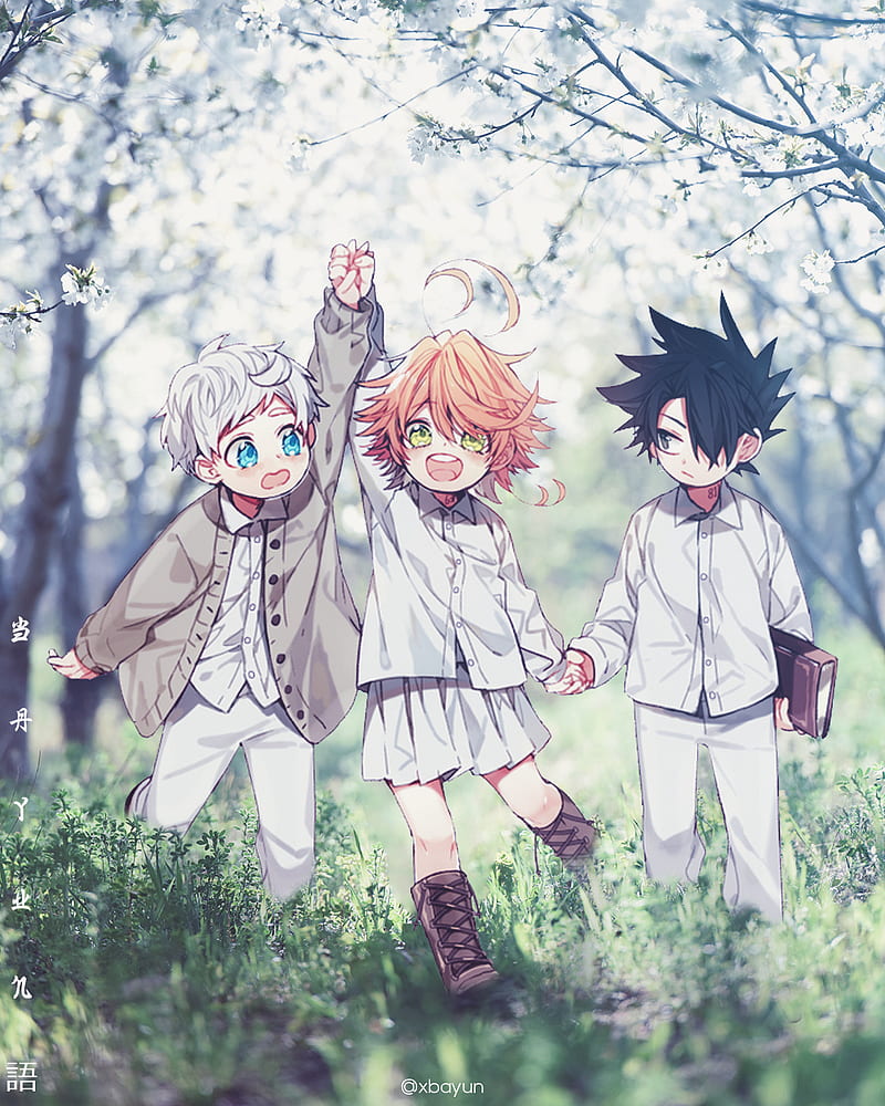Norman x Ray x Emma, the promised neverland, HD phone wallpaper