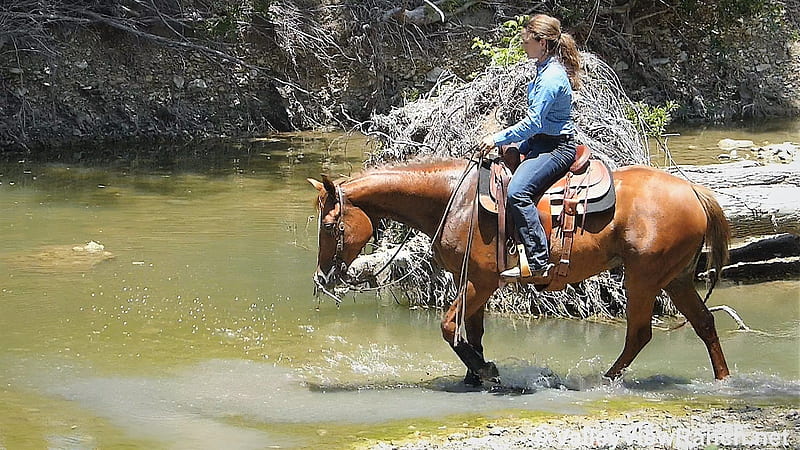 River Crossing . ., cowgirl, boots, ranch, horses, outdoors, brunettes ...