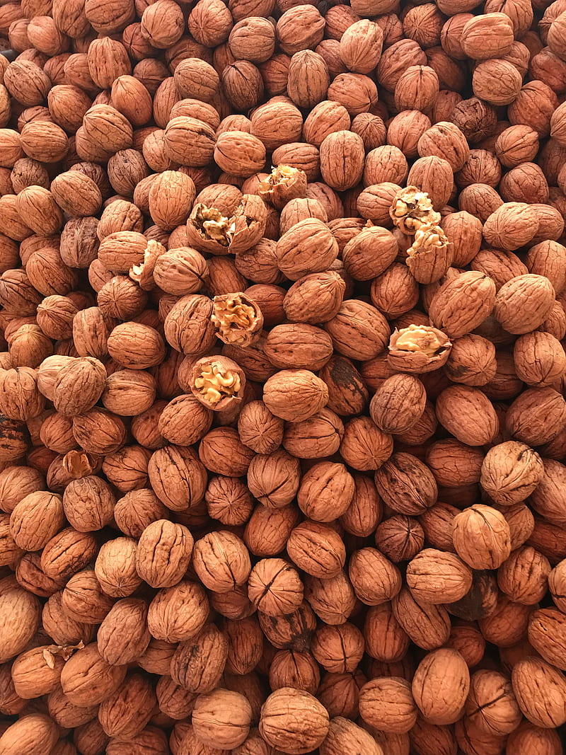 walnut, nuts, brown, fruit, HD phone wallpaper