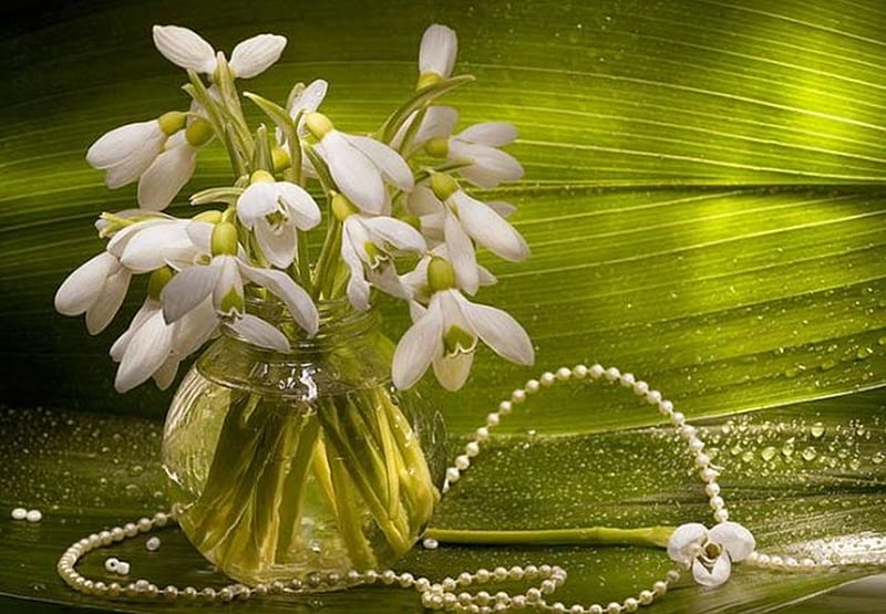snowdrops and pearls, green, flowers, pearls, snowdrops, white, HD wallpaper