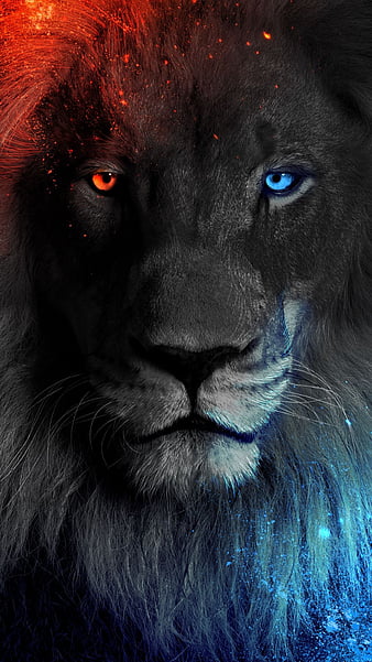 King, red, face, blue, colorful eyes, animal, wild, lion, HD phone  wallpaper | Peakpx