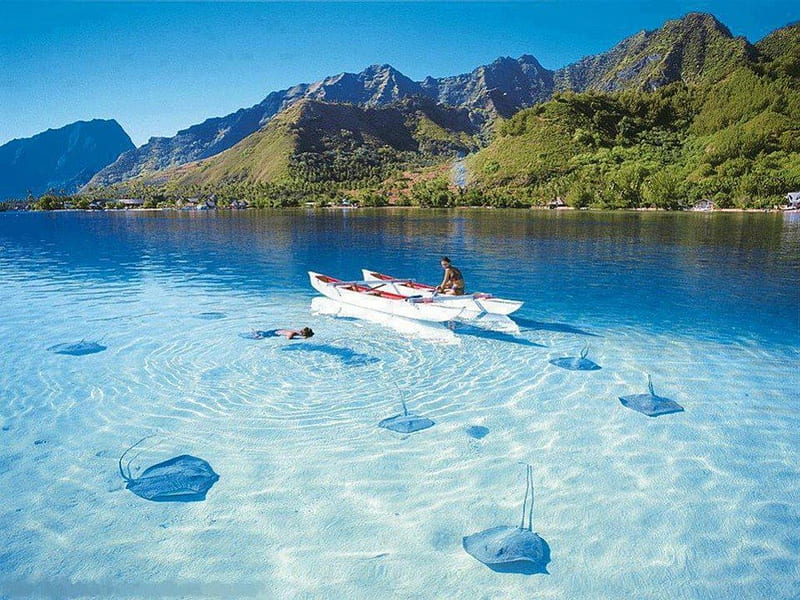 Beautiful island, beach, water, boat, holiday, ocean, summer, island, blue, HD wallpaper