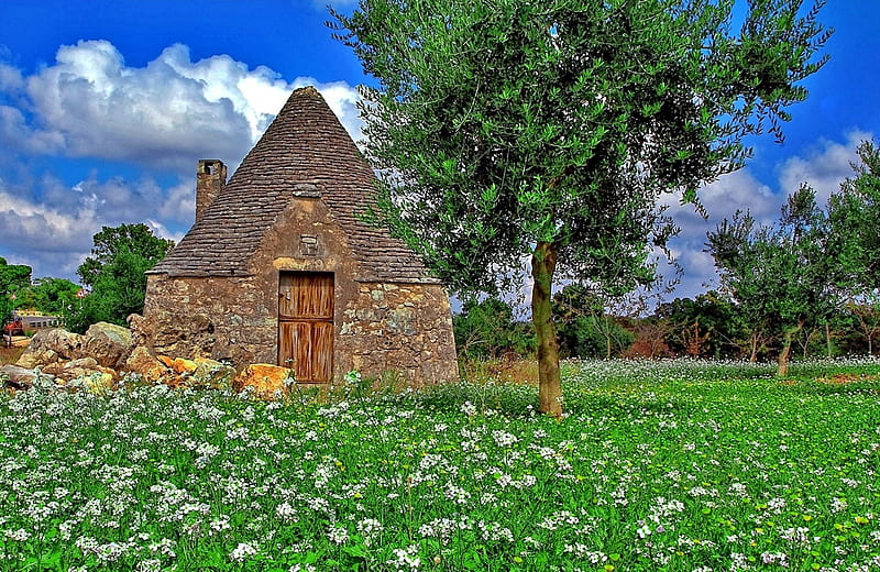 ancient Trullo house_Italy, architecture, rocks, house, Trullo, old, clouds, italia, nice, green, landscapes, flowers, italy, street, ancient, view, roofs, colors, sky, trees, panorama, nature, HD wallpaper