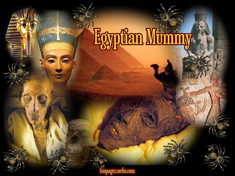 Egyptian Mummy, pharoahs, egyptian, mummies, queens, HD wallpaper