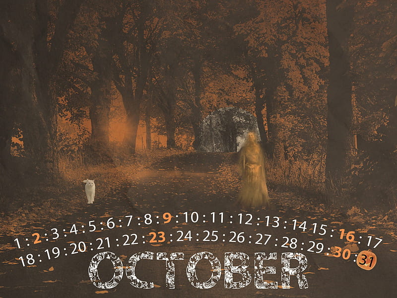 ghost halloween-October 2011 - Calendar, HD wallpaper