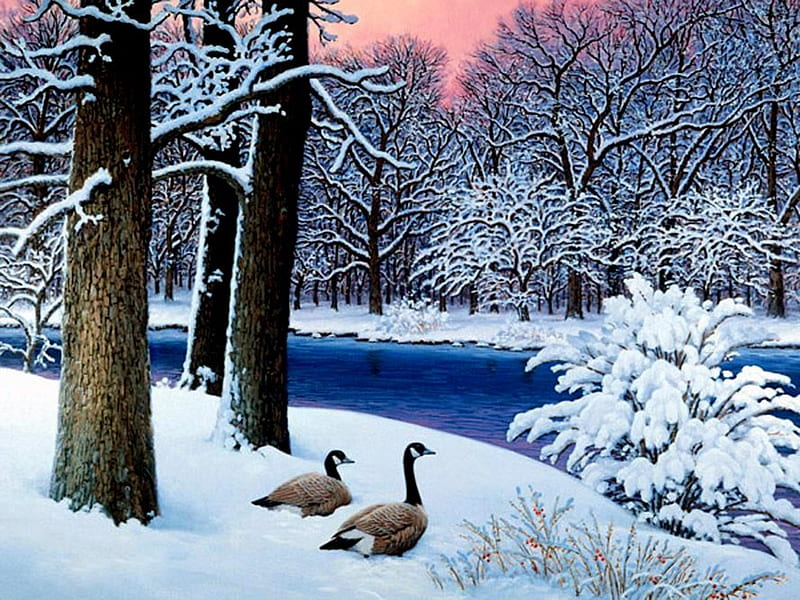 Soul Mates, woods, trees, bushes, winter, geese, water, snow, berries, river, HD wallpaper