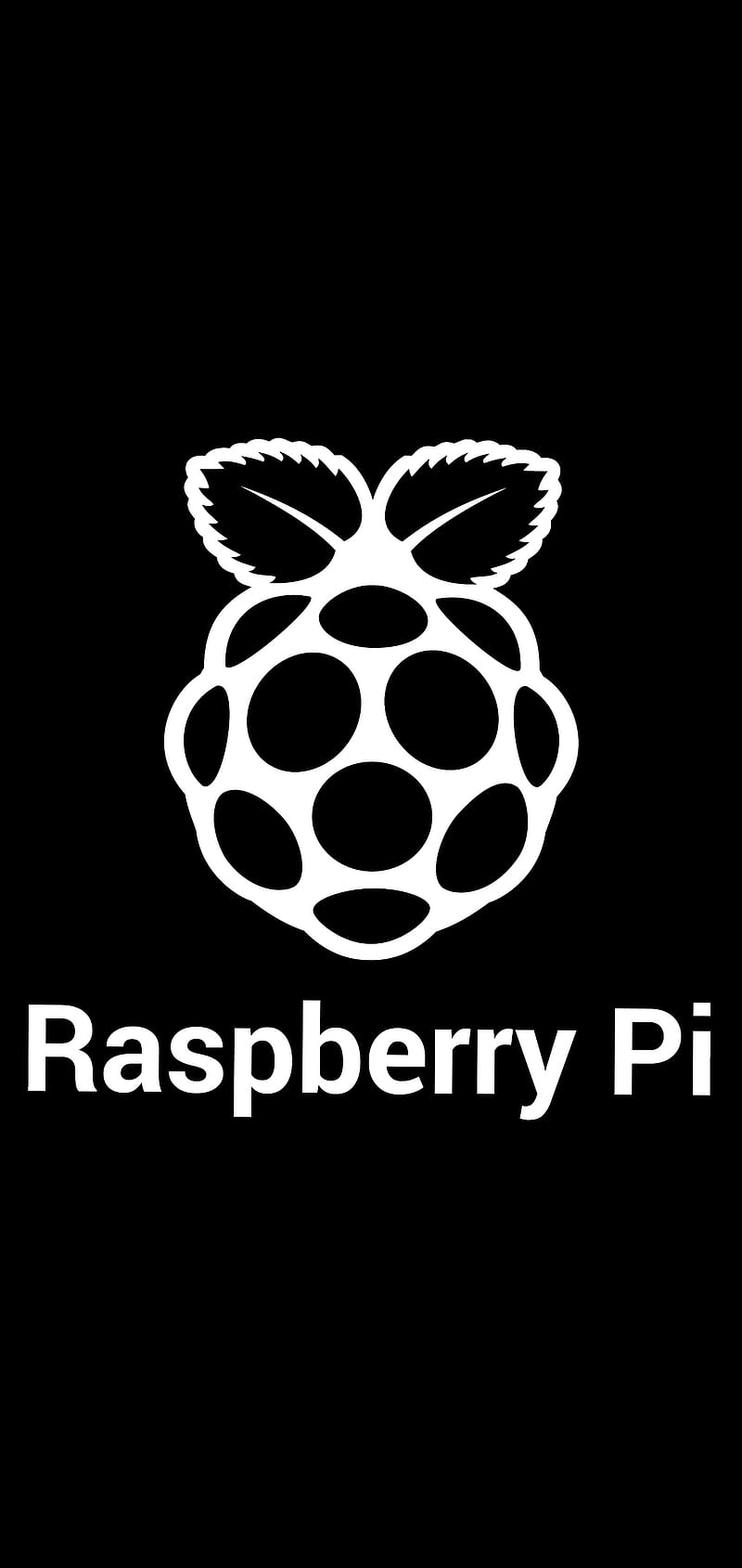 Raspberry Pi, 1440x3040, black, logo, minimal, no edges, smartphone, white, HD phone wallpaper
