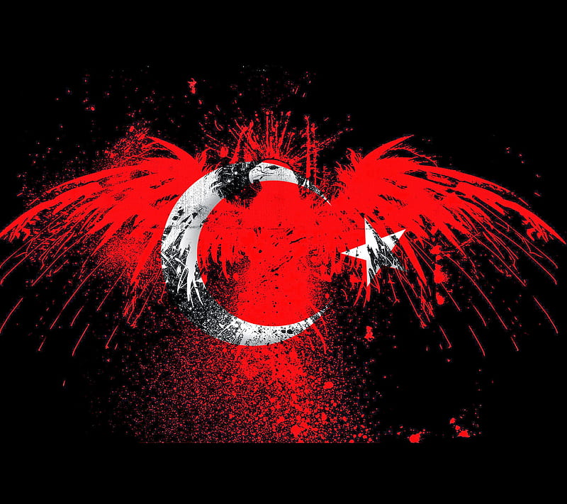Turkiye, flag, kartal, turk, HD wallpaper