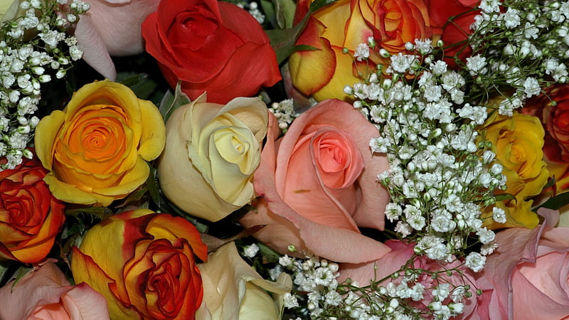 Colorful Bouquet, flowers, nature, roses, bouquet, HD wallpaper | Peakpx