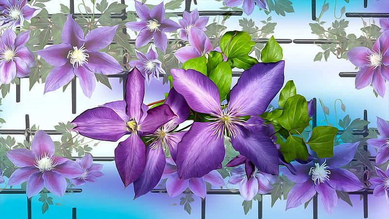 Clematis, Closeup, Purple, Graphics, Flowers, HD wallpaper