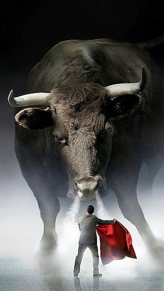 Bull, animal, bulls, cow, cows, enirti, iphone, red, HD phone wallpaper