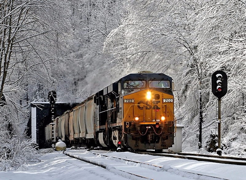 Winter Trains, Trains, Yellow, Trees, Snow, Winter, HD wallpaper