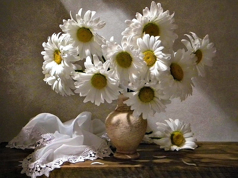 Free Photo  Still life of daisy flowers