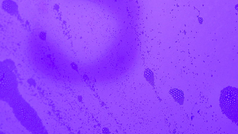 Purple and White Polka Dot Textile, HD wallpaper