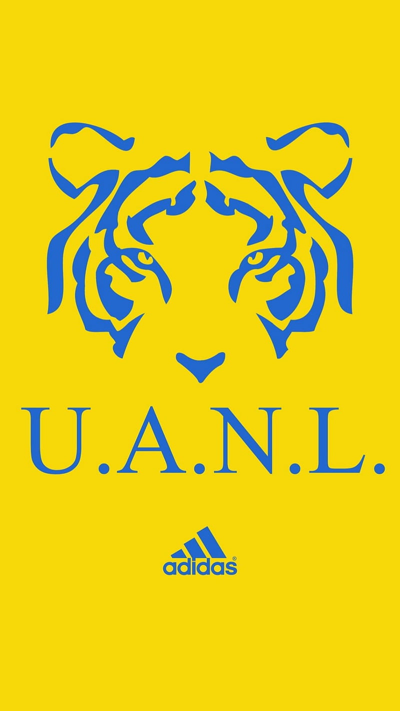 Tigres UANL, felinos, incomparables, la u, libresylokos, tiger, HD phone wallpaper