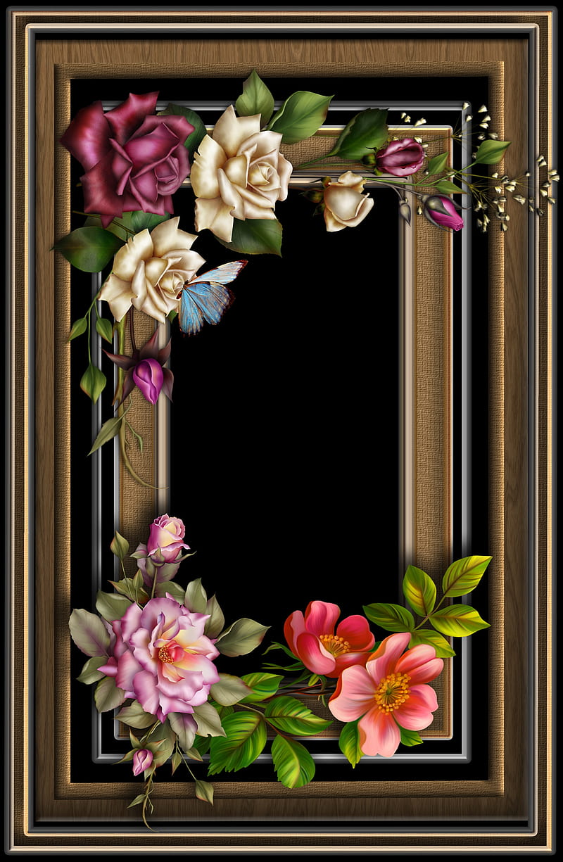 ART FLOWERS, window, background, nice, roses, HD phone wallpaper