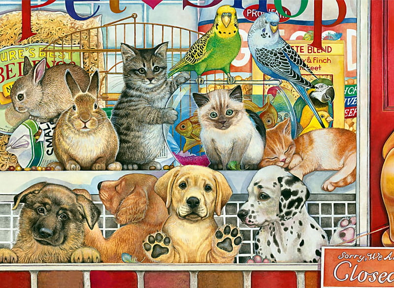 Pet Shop F1, art, fish, cat, artwork, canine, animal, pet, feline, bird, avian, painting, wide screen, rabbits, dog, HD wallpaper