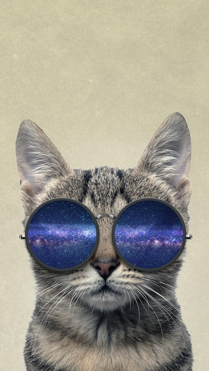 Abstract Animal Picture Geometric Cat Wearing Funky Sunglasses Framed Print 