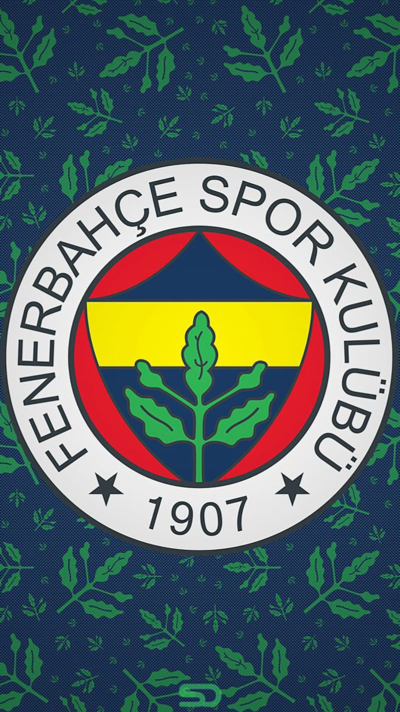 Fenerbahce, fifa, football, soccer, sport, turkey, uefa, HD phone wallpaper