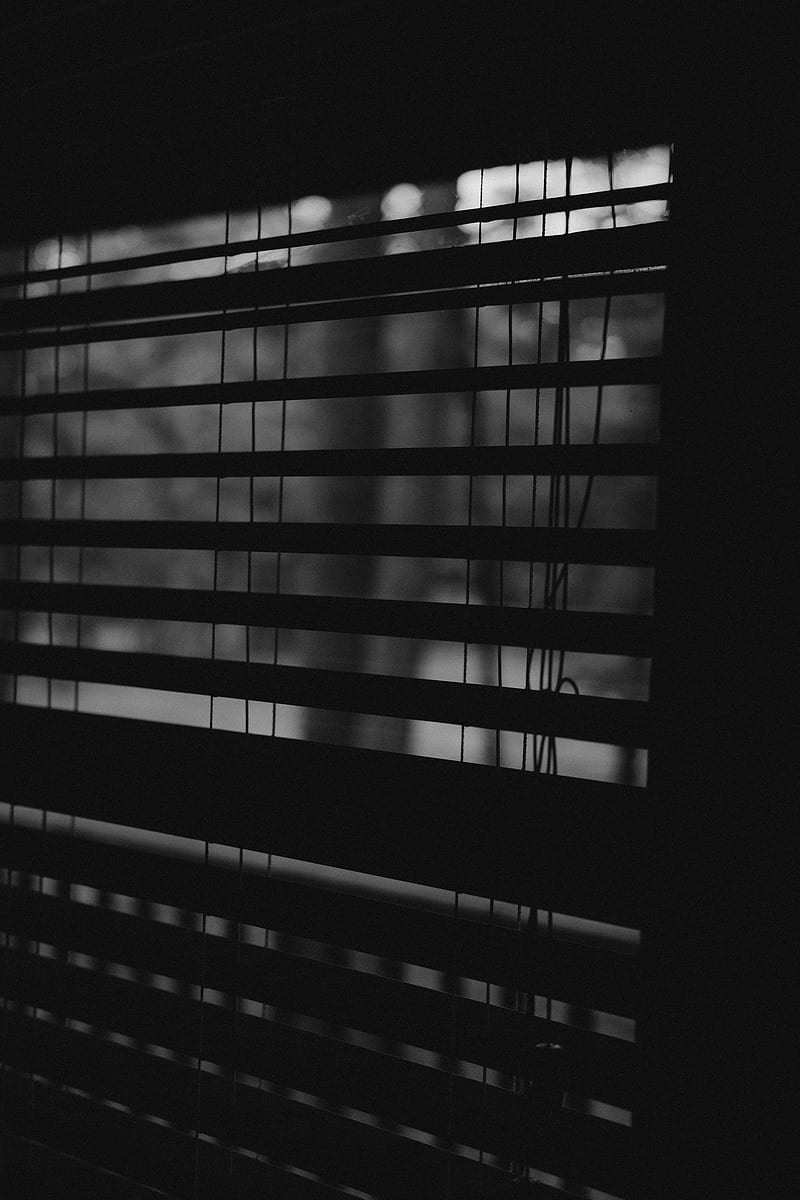 blinds, window, stripes, bw, dark, HD phone wallpaper
