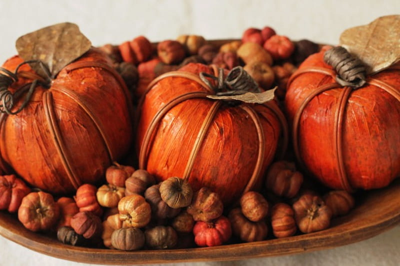 Fruits of Autumn, fall, seasonal, decoration, colors, wooden, pumpkins, bowl, HD wallpaper