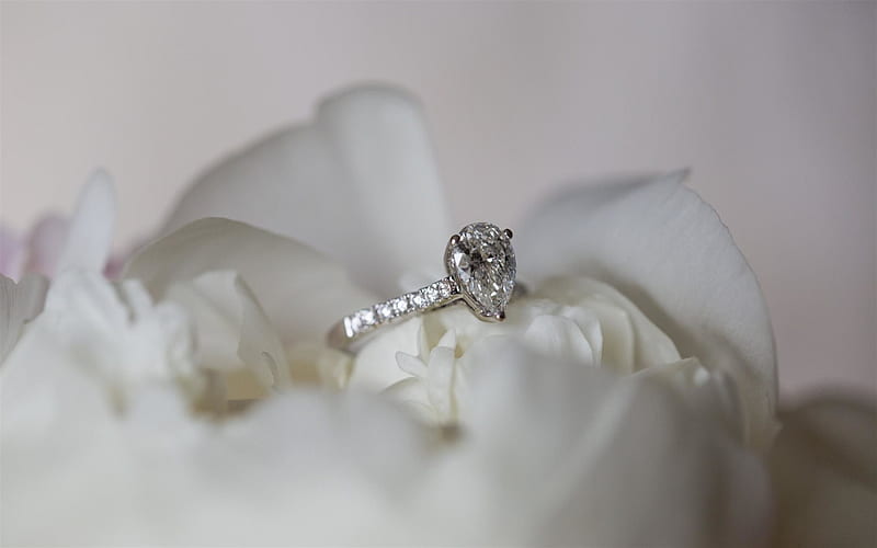 Silver ring, wedding ring, silver, HD wallpaper | Peakpx